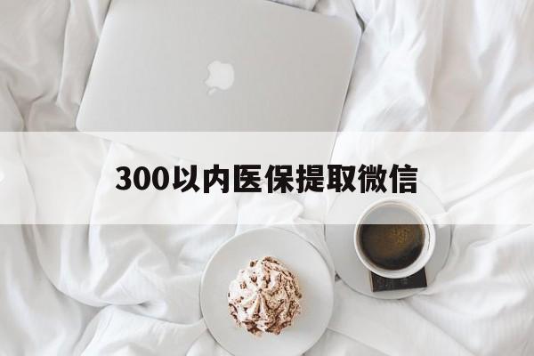 龙岩300以内医保提取微信(300以内医保提取微信离职可以用吗)